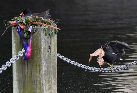 Подборка редких фотографий со всего мира. 2 выпуск