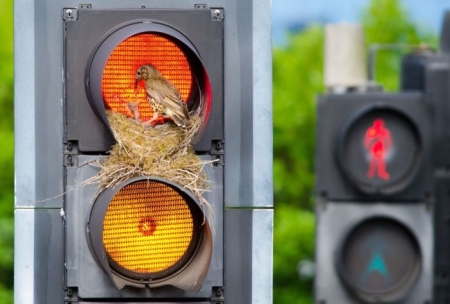Подборка редких фотографий со всего мира. 2 выпуск