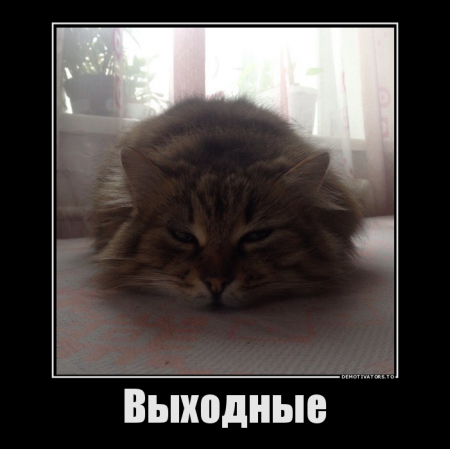 Куда сходить на выходных: вегетарианский пикник, праздник мороженого и фестиваль красок