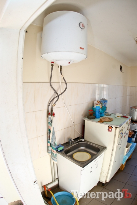 Як живеться чотирилапим бездомним у Кременчуці