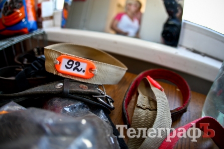 Як живеться чотирилапим бездомним у Кременчуці