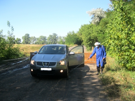 На Полтавщині спалюють свиней через африканську чуму