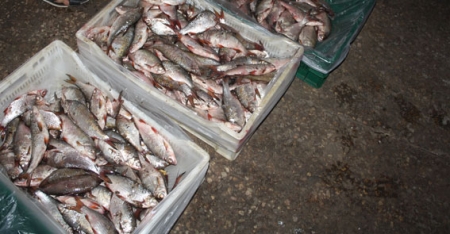 Рятувальника впіймали на крадіжці риби