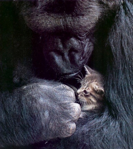 Подборка редких фотографий со всего мира. 4 выпуск