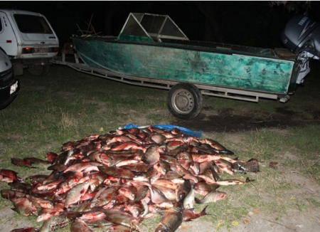 За нерест рыбинспекция "набраконьерила" 4 млн грн, - кременчугская милиция За нерест рыбинспекция "набраконьерила" 4 млн грн, - кременчугская милиция