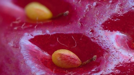 Подборка редких фотографий со всего мира. 5 выпуск