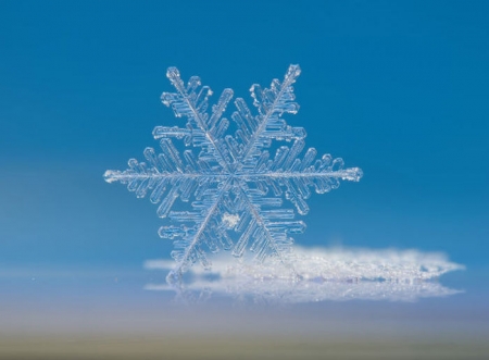 Подборка редких фотографий со всего мира. 5 выпуск