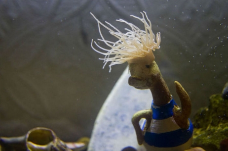 Подборка редких фотографий со всего мира. 5 выпуск