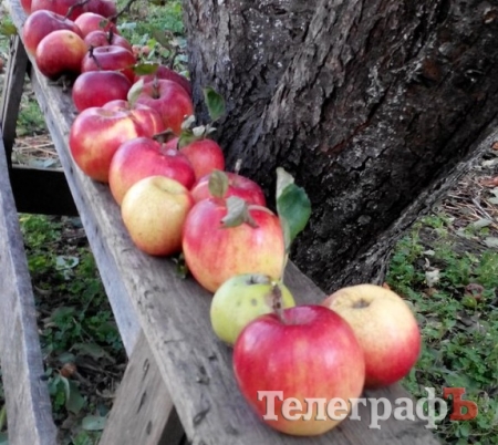 Самый точный прогнозЪ: в выходные не сжаримся Самый точный прогнозЪ: в выходные не сжаримся