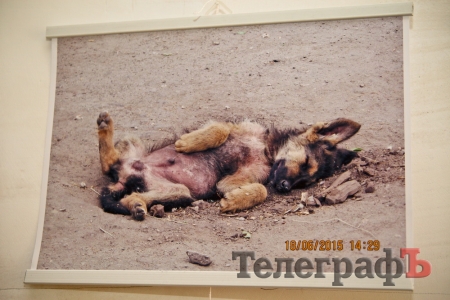 "Я понял, что это история только тогда, когда увидел свои фотографии," - Владимир Поляков