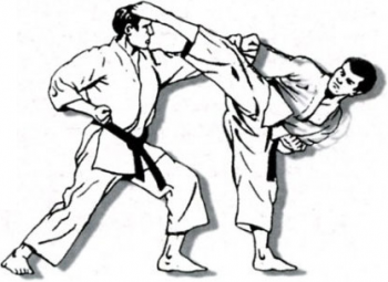 В сентябре Городская федерация каратэ возобновляет  набор на новый учебный год!