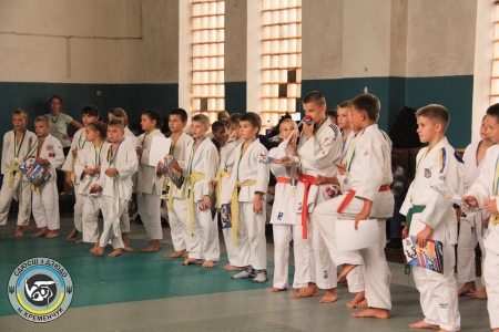 В Кременчуге состоялся чемпионат города по дзюдо