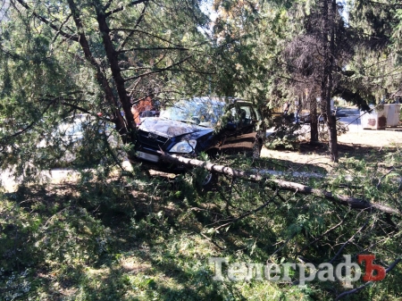 Пьяный кременчужанин на стоянке у «Кредмаша» «подправил» ландшафтный дизайн