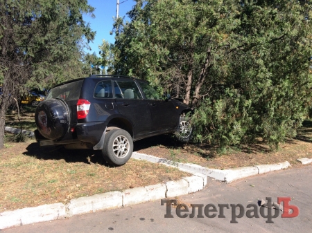 Пьяный кременчужанин на стоянке у «Кредмаша» «подправил» ландшафтный дизайн