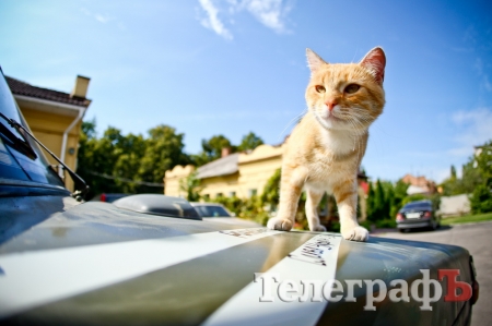 Волонтери передали куплену та відремонтовану машину на передову