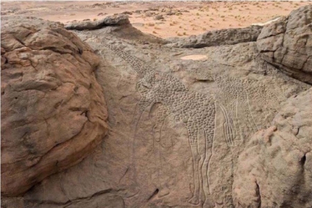 Подборка редких фотографий со всего мира. 9 выпуск