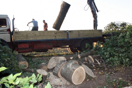 На Полтавщине милиция поймала банду «бобров» 