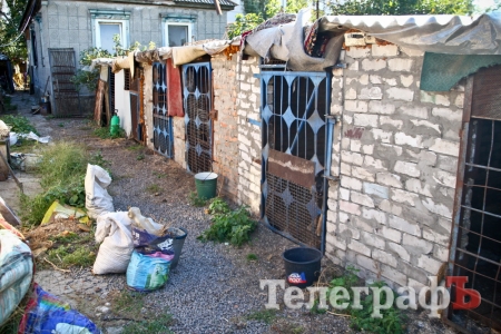 Кременчужанка приютила брошенных и больных собак