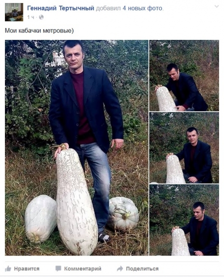 ФОТОФАКТ: Кременчугский голубевод и его метровые кабачки