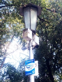 Аттракционы в Приднепровском парке подожгли - погиб ёжик