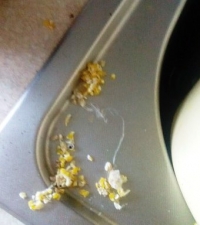 ПЕРЕД ЕДОЙ НЕ СМОТРЕТЬ: сюрпризы в пряниках и кукурузной крупе