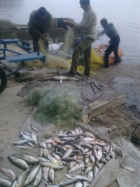 В Кременчуге правоохранители задержали четырех браконьеров