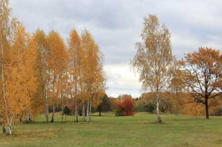 Самый точный прогнозЪ: на выходных в Кременчуге осень без дождя Самый точный прогнозЪ: на выходных в Кременчуге осень без дождя
