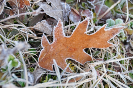 Синоптики обіцяють похолодання на кінець тижня