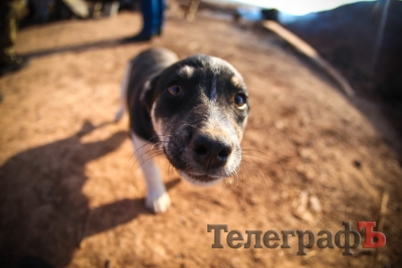 Война в объективе: фоторепортаж из зоны АТО