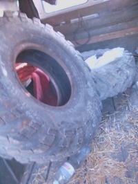 Резина от неизвестного человека, ласточка в строю, львовяне со сладким "Приветом"