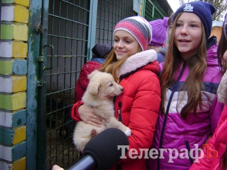 Дети пришли на экскурсию в собачий приют в Кременчуге