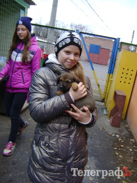 Дети пришли на экскурсию в собачий приют в Кременчуге