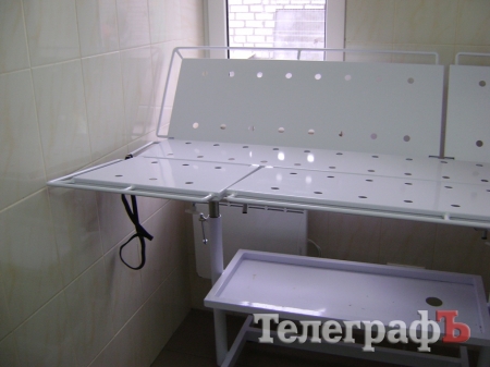 Дети пришли на экскурсию в собачий приют в Кременчуге