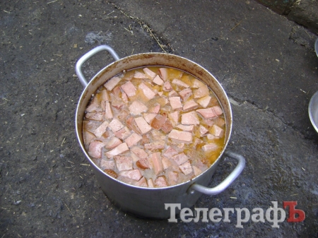 Дети пришли на экскурсию в собачий приют в Кременчуге