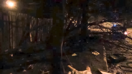 Пьяный кременчужанин на "восьмёрке" снес дерево и вылетел во двор частного дома