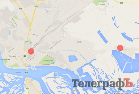 В селе под Кременчугом из-за африканской чумы начали сжигать свиней