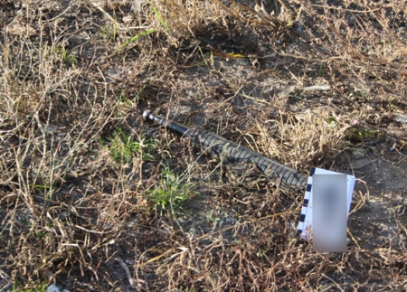 Кременчужанку, тело которой нашли на Чередниках, до смерти забили палкой