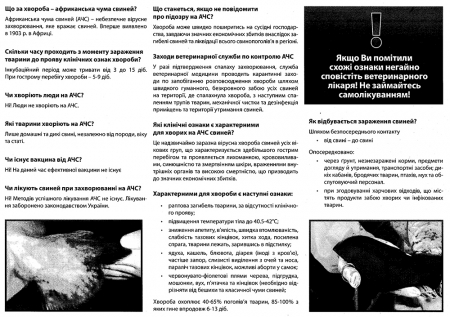Африканская чума свиней "окружает" Кременчуг