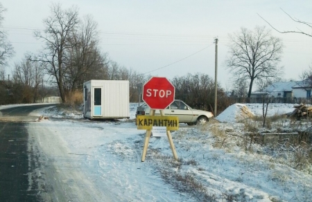 Африканская чума свиней "окружает" Кременчуг
