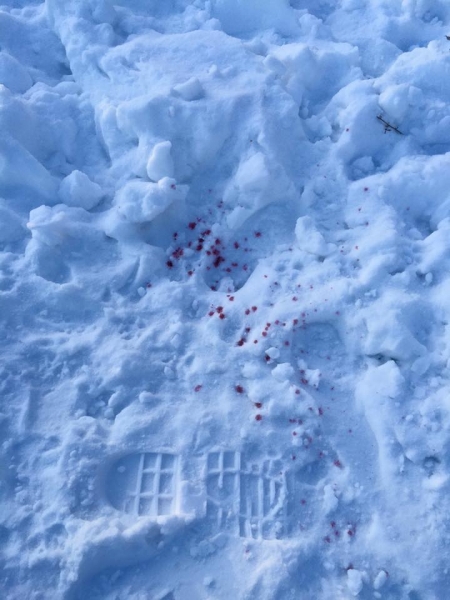 «В Кременчуге травят собак», – в соцсетях предупреждают о новом яде, но «Спецсервису» ещё ни одна отравленная собака не попадалась