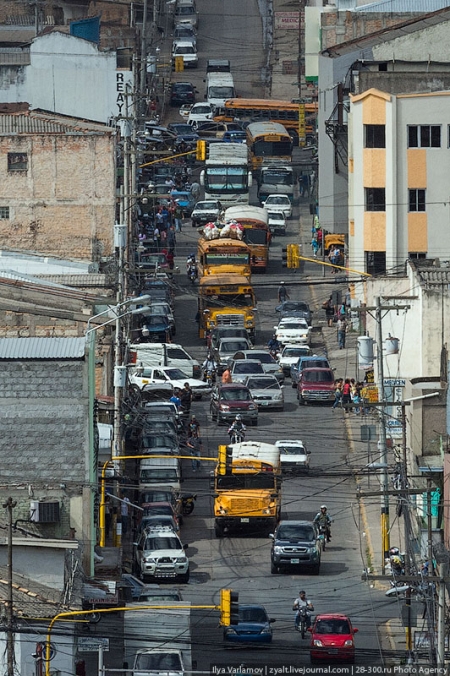 Где Украина и где Гондурас. Найди отличия