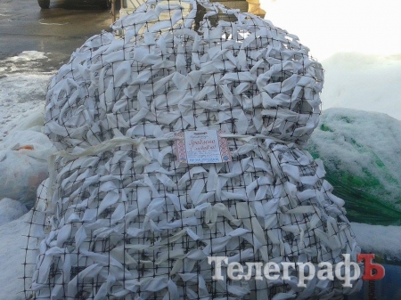 Підтримка кременчужан і "пухнасті клубочки" допомагають військовим на фронті