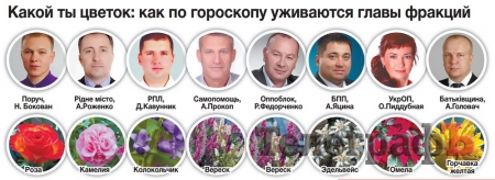 Горсовет Кременчуга: ни одной обезьяны!