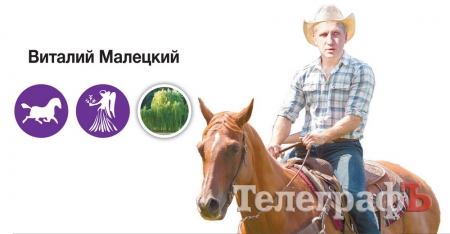 Горсовет Кременчуга: ни одной обезьяны!