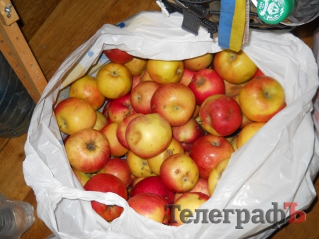 Кременчуцькі волонтери отримали допомогу з Сербії