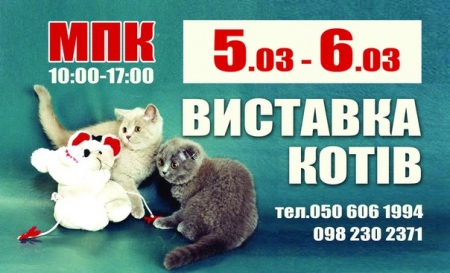 5 и 6 марта в Кременчуге состоится Выставка элитных пород кошек