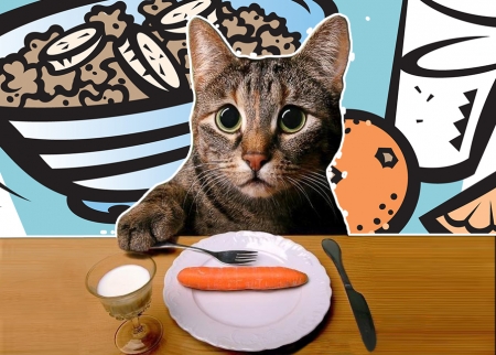 Що відбувається з харчами: як українці економлять на їжі Що відбувається з харчами: як українці економлять на їжі