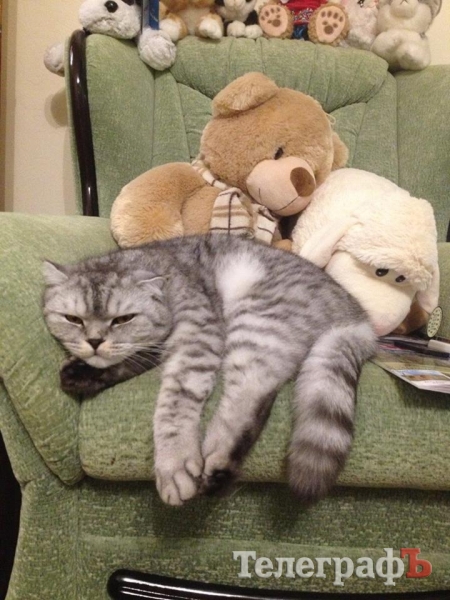 100 днів мера Малецького: поки без камери, зате з лопатою!