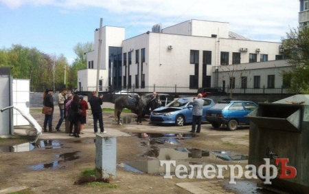 Что случилось с лошадью и автомобилем на Молодёжном Что случилось с лошадью и автомобилем на Молодёжном