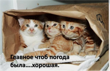 Куда кременчужанам сходить на выходных